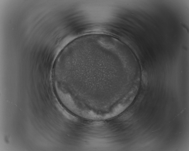 X0000103971482200810101256