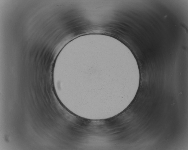 X0000103971483200810101256