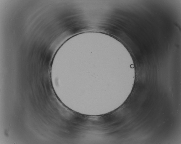 X0000103971484200810101256