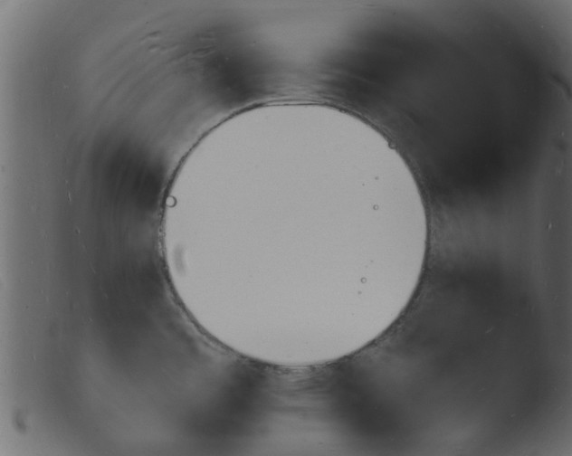 X0000103971485200810101256