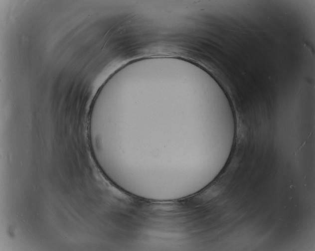 X0000103971486200810101256