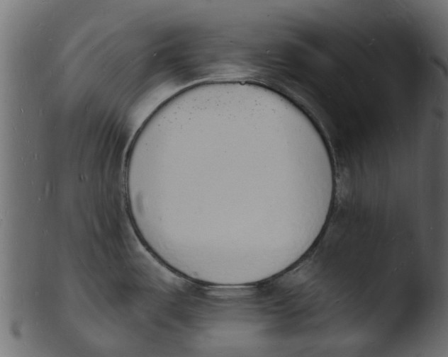 X0000103971487200810101256