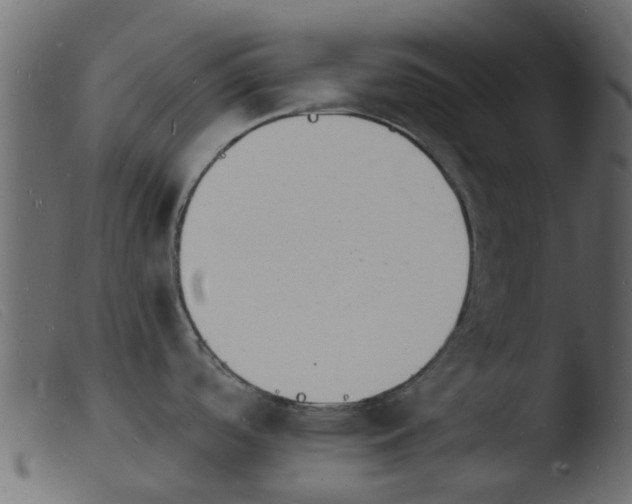 X0000103971488200810101256