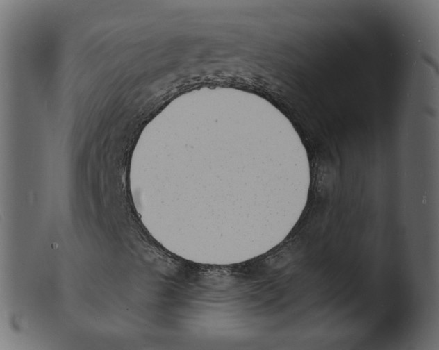 X0000103971489200810101255