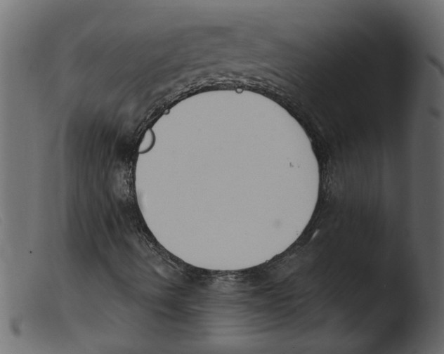 X0000103971490200810101255