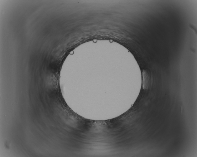 X0000103971491200810101255