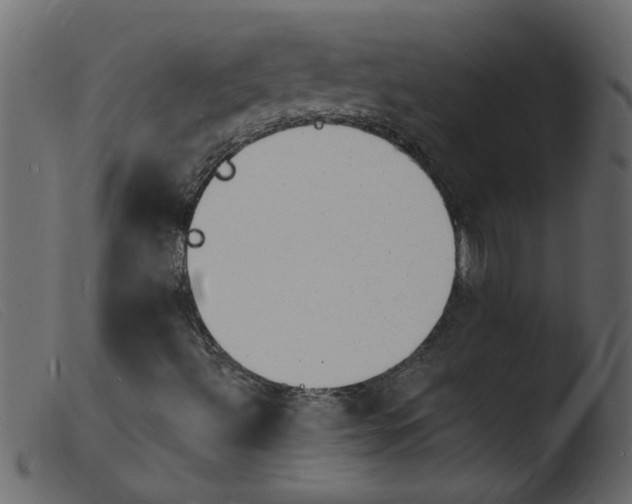 X0000103971492200810101255