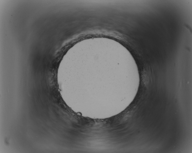 X0000103971494200810101255