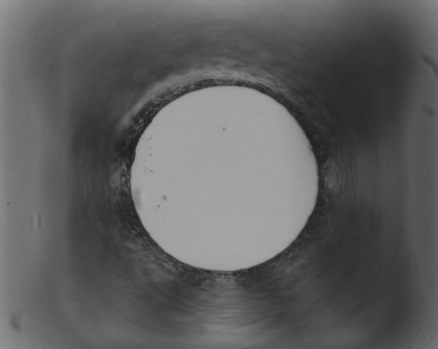 X0000103971495200810101255