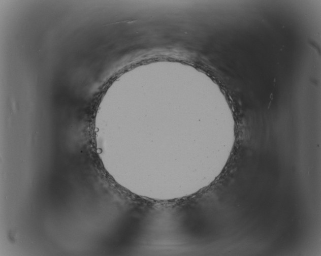 X0000103971496200810101255