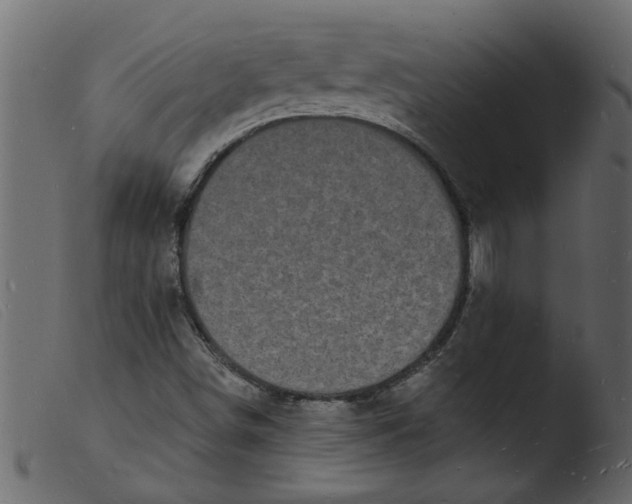 X0000103971498200810101255