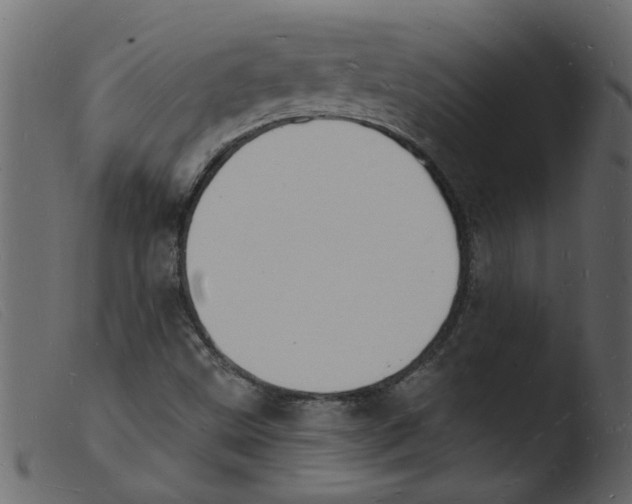 X0000103971499200810101255