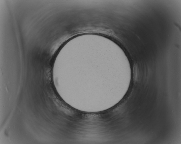 X0000103971501200810101255