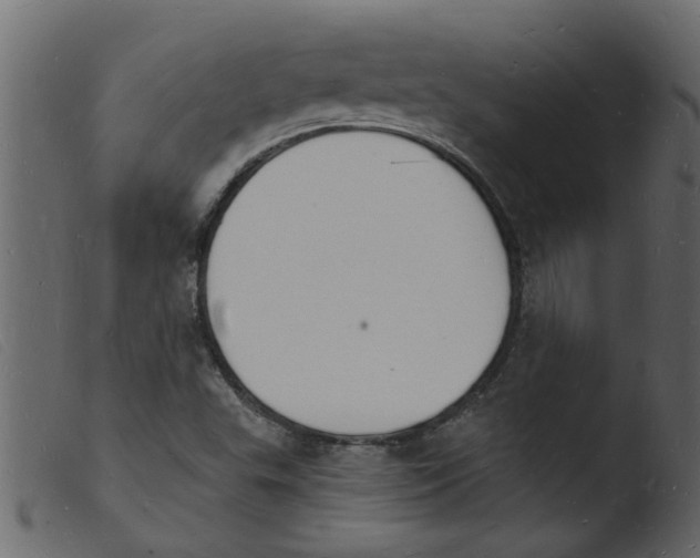 X0000103971503200810101255