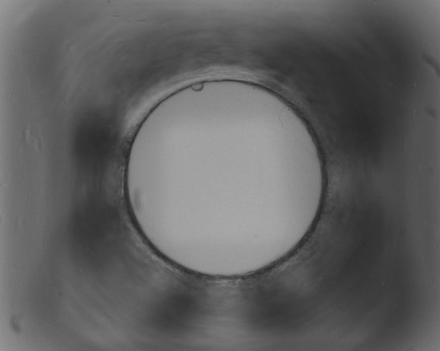 X0000103971504200810101255