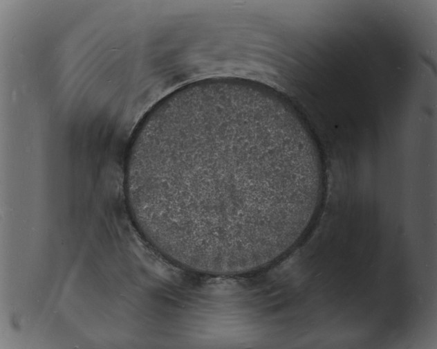 X0000103971505200810101255