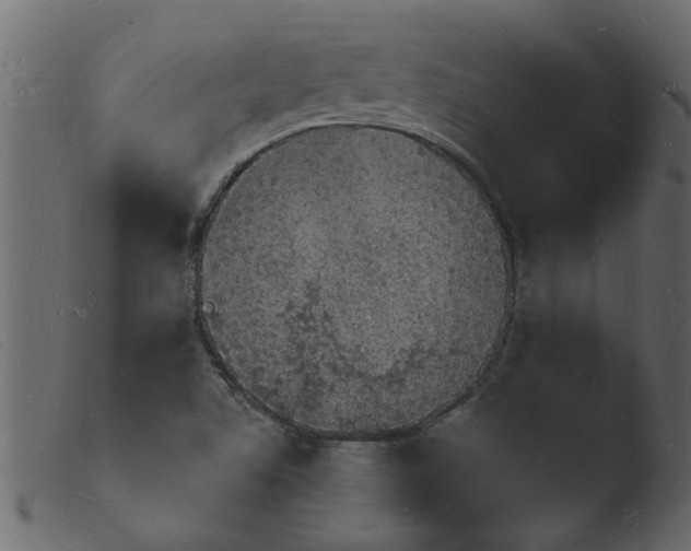 X0000103971506200810101256