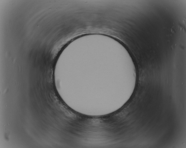 X0000103971507200810101256