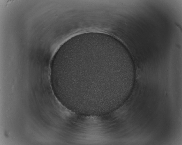 X0000103971508200810101256