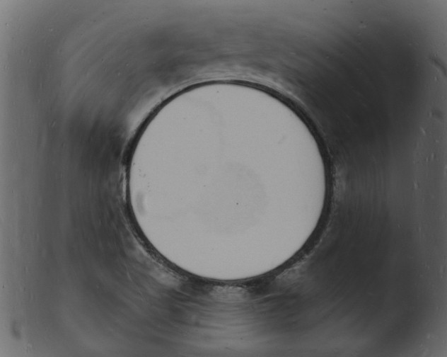 X0000103971509200810101256