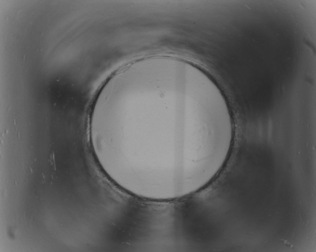 X0000103971510200810101256