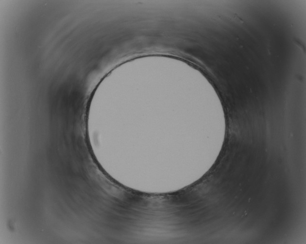 X0000103971512200810101256