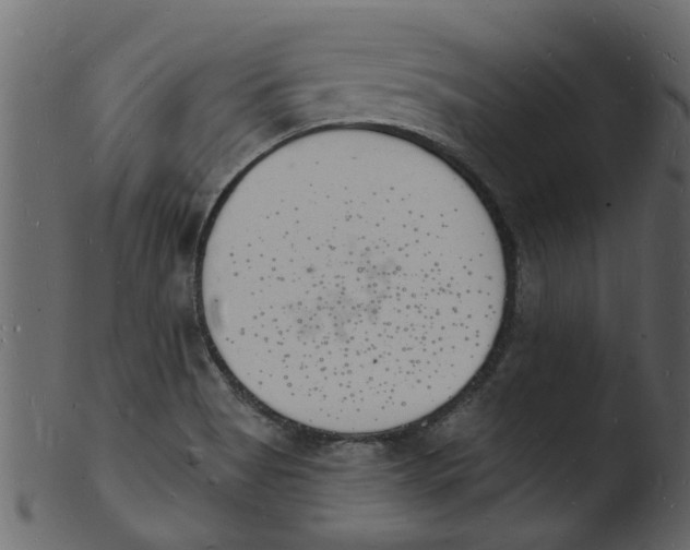 X0000103971513200810101256