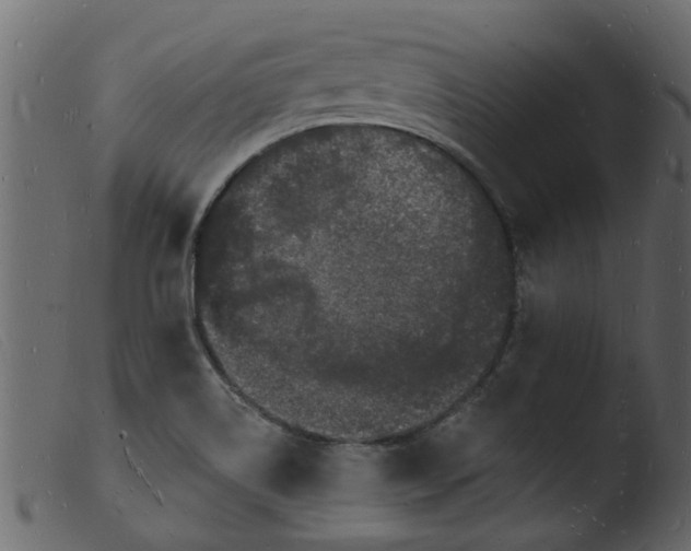 X0000103971514200810101256