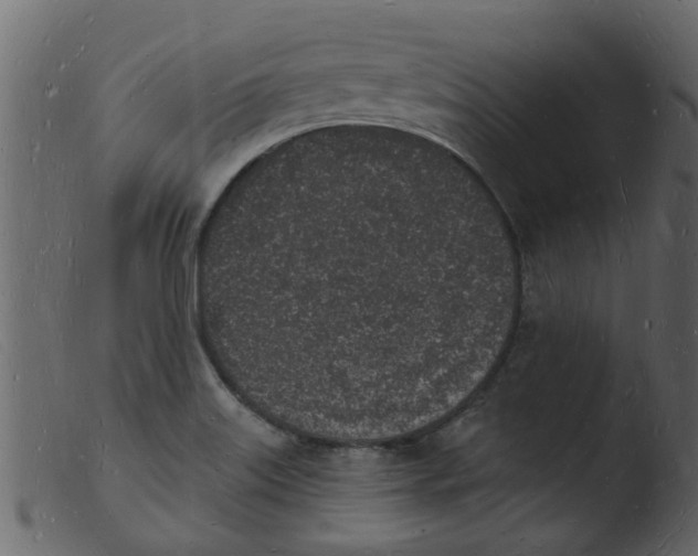 X0000103971515200810101256