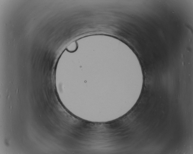 X0000103971516200810101256