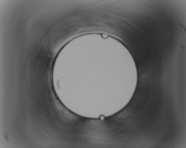 X0000103971518200810101256