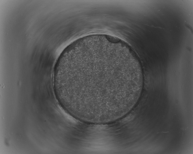 X0000103971519200810101256