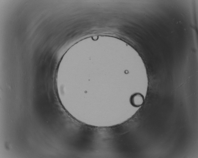 X0000103971520200810101256