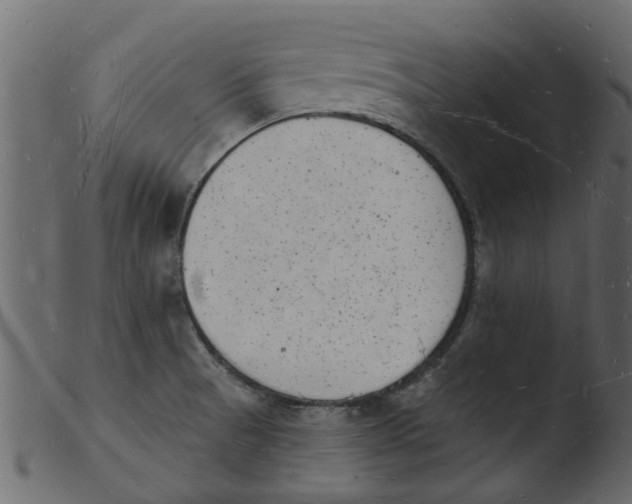 X0000103971521200810101256