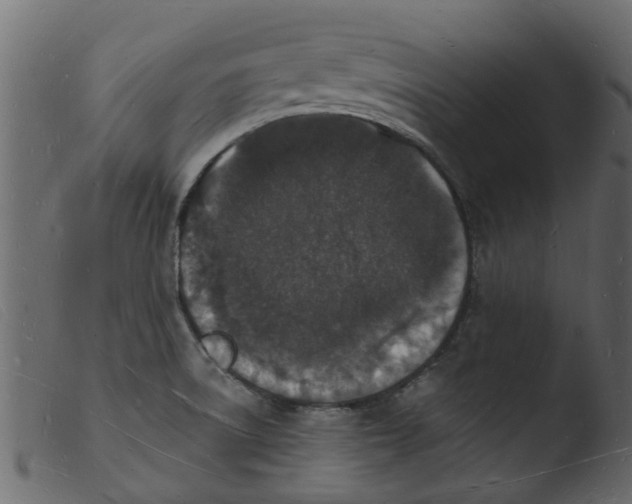 X0000103971522200810101256