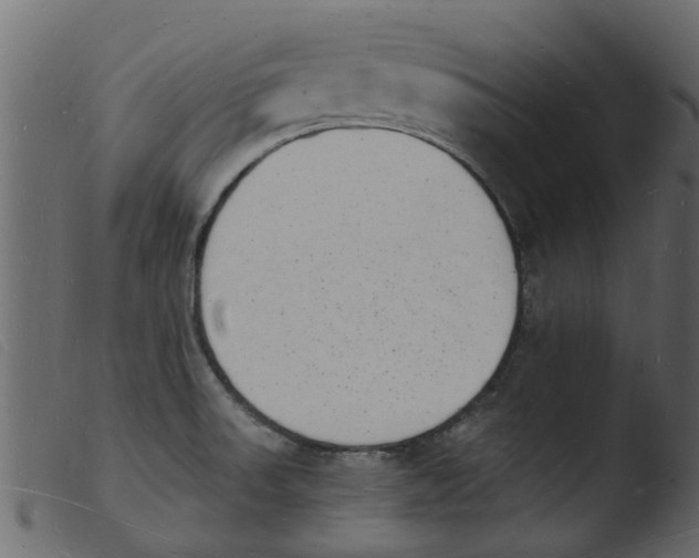 X0000103971523200810101256