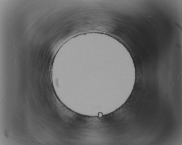 X0000103971524200810101256