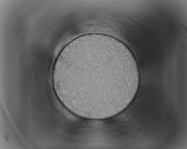 X0000103971525200810101256