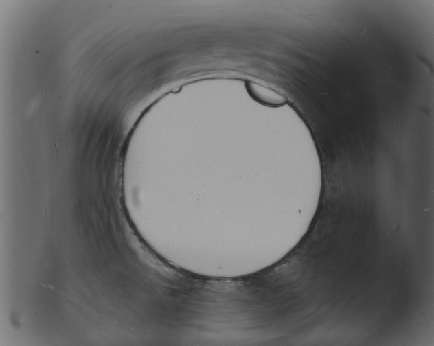 X0000103971526200810101256