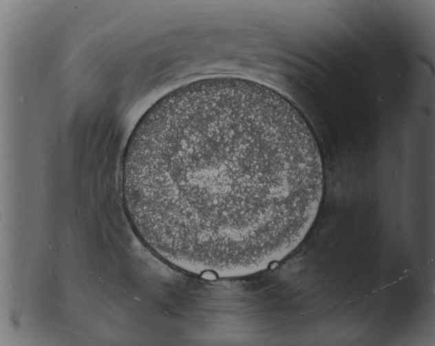 X0000103971527200810101256