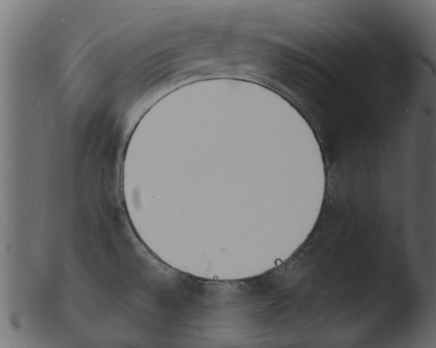 X0000103971528200810101256