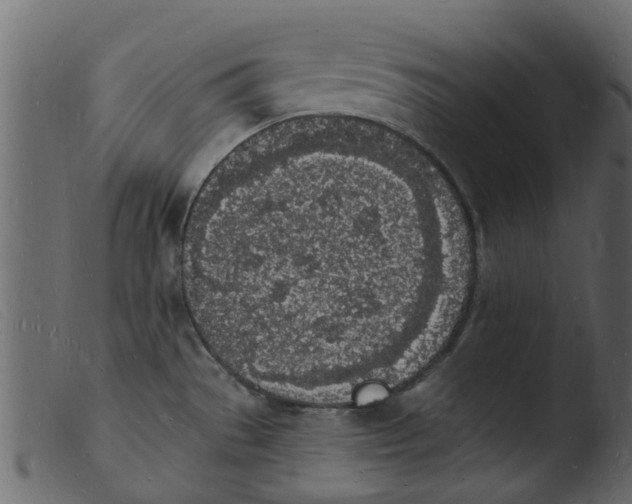 X0000103971529200810101256