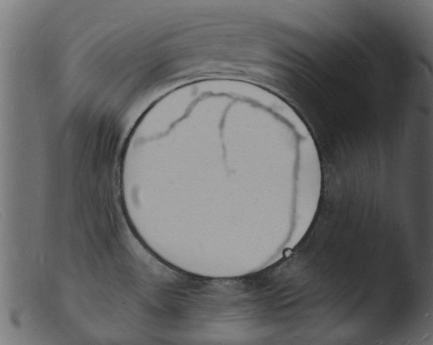 X0000103971531200810101256