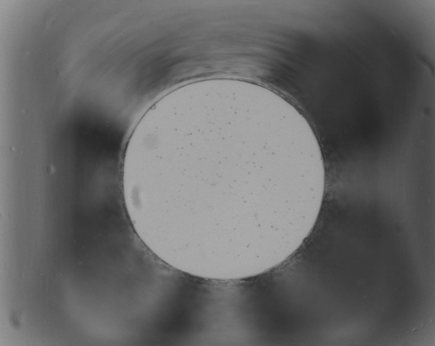 X0000103971532200810101256