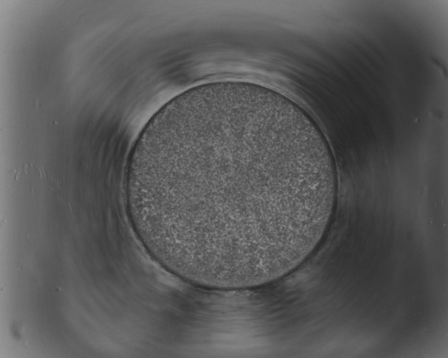 X0000103971533200810101256