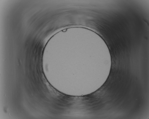 X0000103971534200810101256