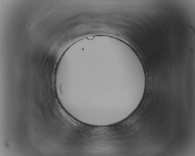 X0000103971535200810101256