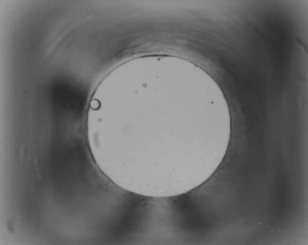 X0000103971536200810101256