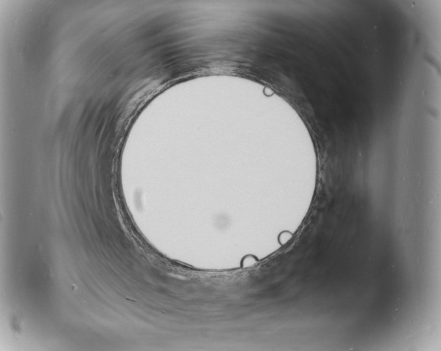 X0000103970001200810171936