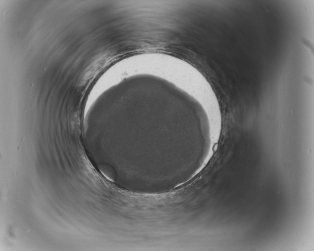 X0000103970002200810171936